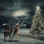 christmas_in_the_forest_by_adriana_madrid-d9jktk3